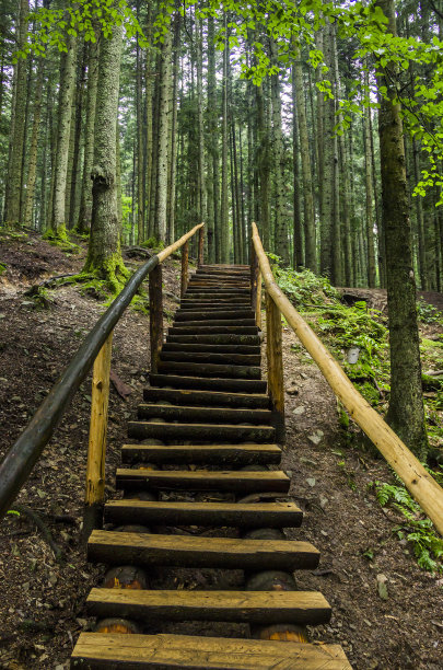 乌克兰喀尔巴阡山云杉林中的木梯子，乌克兰Skole Beskids国家自然公园图片下载