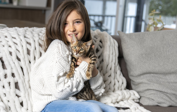 孟加拉猫在客厅的沙发上抱着孩子图片下载