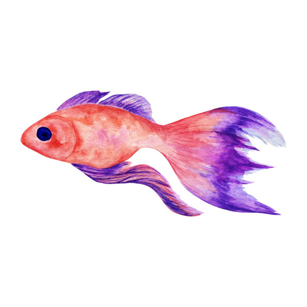 水彩海鱼。图片下载