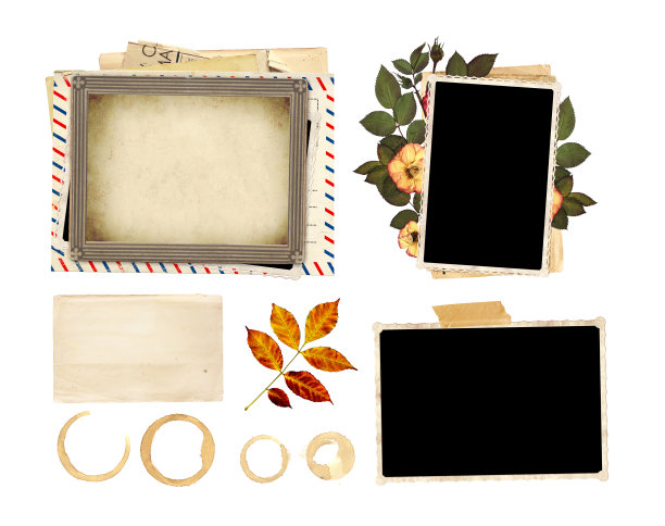 一套复古照片，干叶和玫瑰花，照片与胶带。收集复古剪贴簿元素图片下载