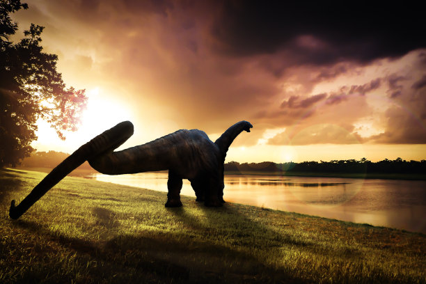 恐龙，森林里的迷惑龙图片下载