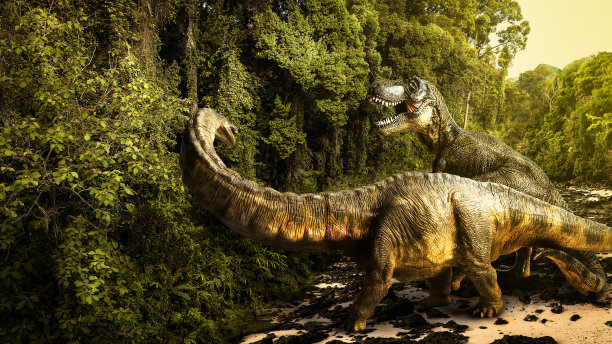 恐龙，森林里的暴龙和迷惑龙图片下载