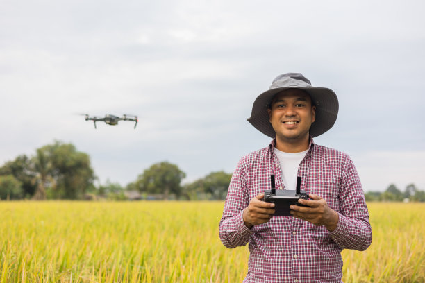 亚洲农民使用无人机在农田上空飞行。一名年轻的农民在一项大规模调查中控制着一架无人机，轻轻地触摸农田里的一株年轻的水稻图片下载