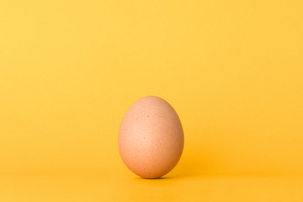 带壳棕色鸡蛋图片下载