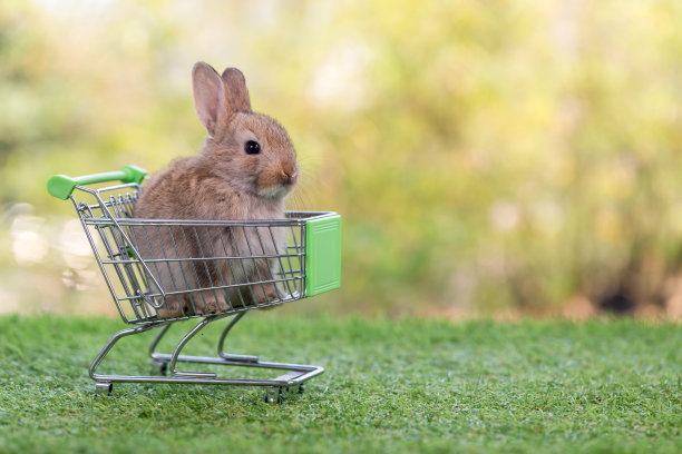 小兔子与购物车在绿色的草地和散景的背景。可爱可爱的新生兔子作为网购概念。可爱的小兔子复活节毛茸茸的小兔子。图片下载