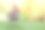 小兔子与购物车在绿色的草地和散景的背景。可爱可爱的新生兔子作为网购概念。可爱的小兔子复活节毛茸茸的小兔子。图片下载