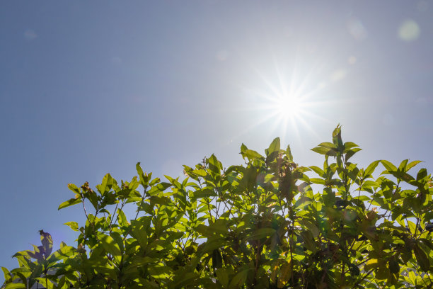 蓝天和正午的阳光图片下载
