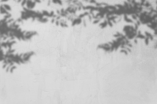 灰色水泥表面的叶阴影和光概念图片下载