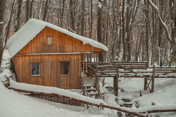 冬季森林里的一所废弃的木屋图片下载