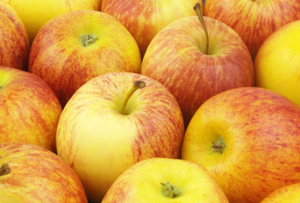 橙色系苹果背景图片下载