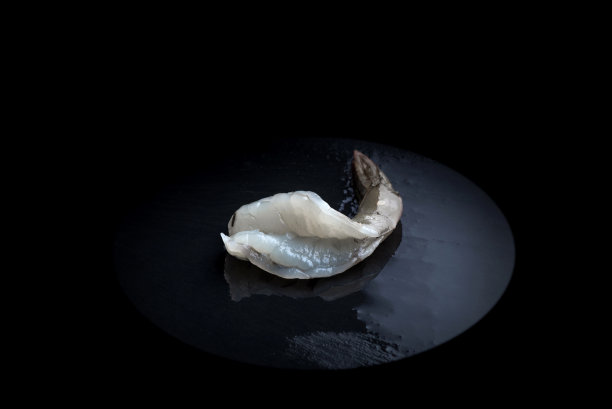 靠近虾图片下载