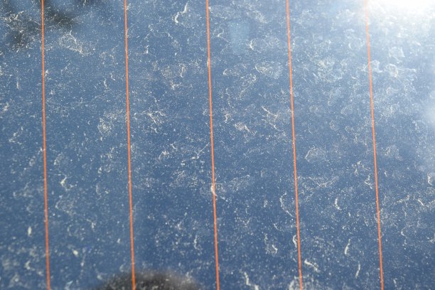 汽车后窗上有花粉。图片下载