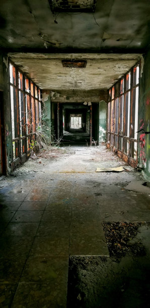 腐烂的放弃图片下载