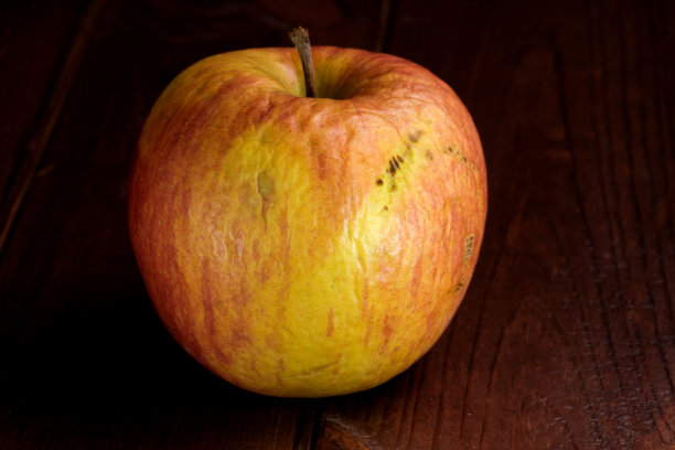 腐烂的、干瘪的烂苹果图片下载