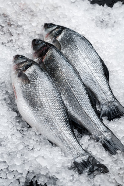 市场上的冰鲜鱼，新鲜海鲜图片下载