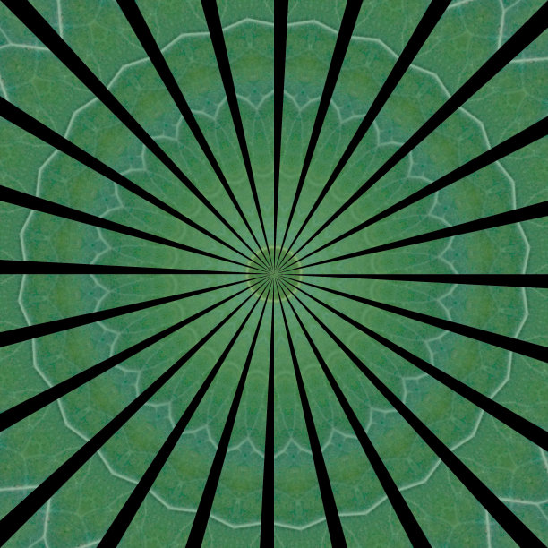 的阳光图片下载