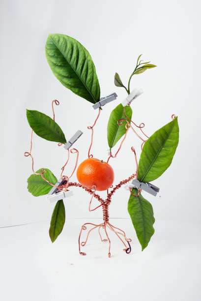 伊甸园生命之树图片下载