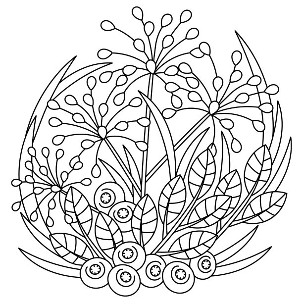 自然矢量涂鸦插图。成人着色页面。森林和田野植物，浆果带叶。图片下载