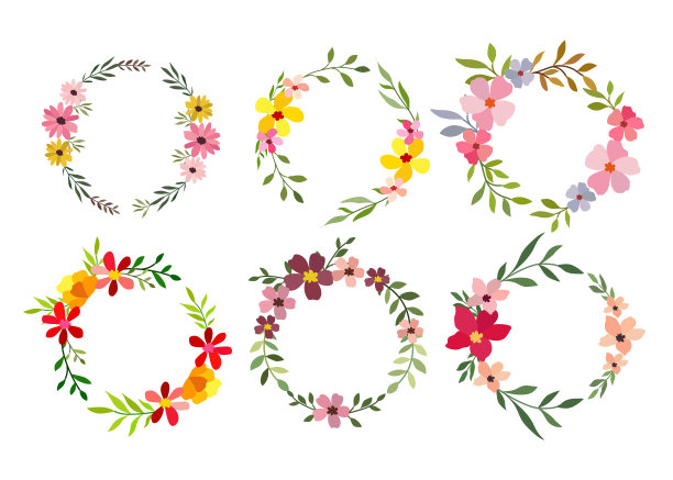 一套六水彩花框架上的白色背景图片下载