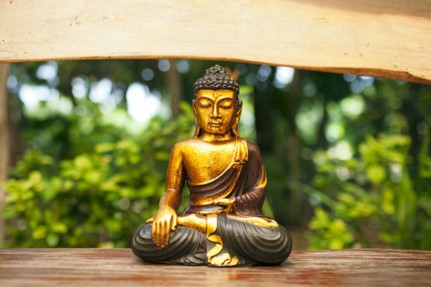 冥想佛像丛林背景图片下载