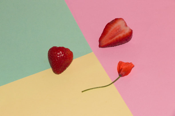 两片草莓和一朵小花在柔和的粉蓝黄背景上，创意的夏季浪漫设计图片下载