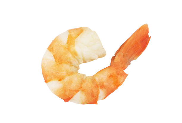 煮熟的虎虾孤立在白色图片下载