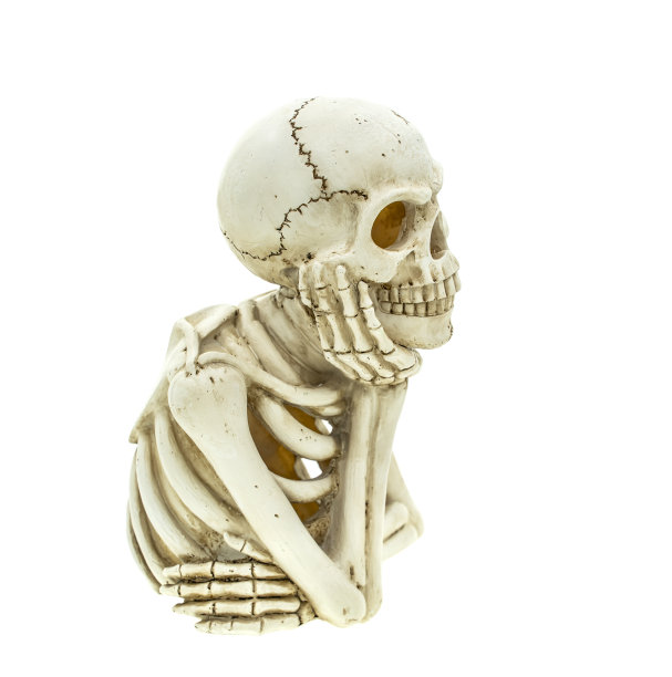 骷髅坐在白色背景上思考图片下载