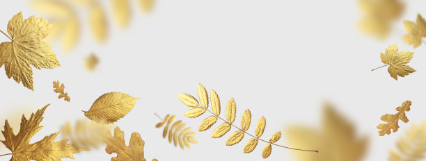 金灿灿的秋叶在浅灰色的背景上飞舞着不同的形状。秋的概念，秋的背景。最小的花卉设计，秋叶框架。金色的树枝。秋天创造性的成分图片下载