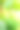 春季家庭攀爬藤蔓绿色植物金银花白色芽活力图片下载