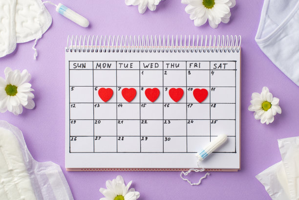 在日历上的红心标记的顶视图照片卫生巾，卫生棉条，内衣和甘菊芽在孤立的粉彩紫色的背景图片下载