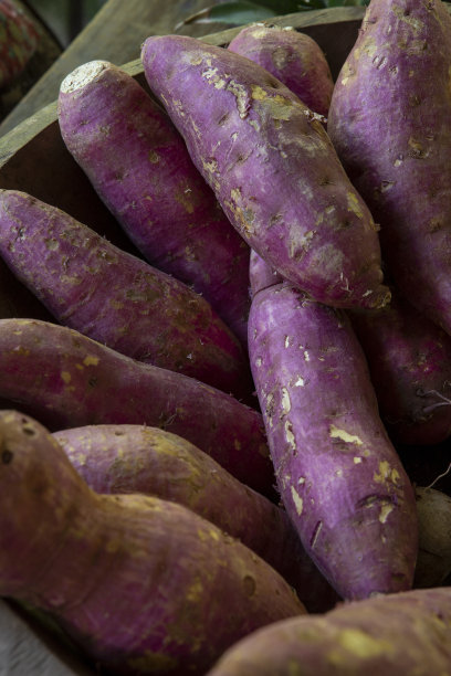 天然的甘薯图片下载