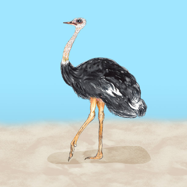 非洲野生动物水彩插图图片下载