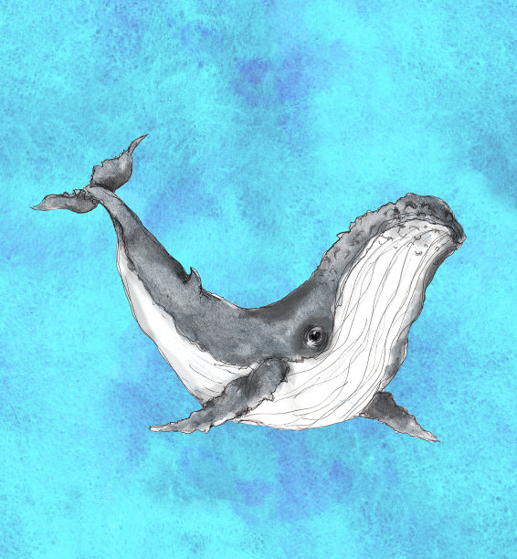 水彩手绘艺术丰富多彩的海底海洋生活插图垃圾背景图片下载