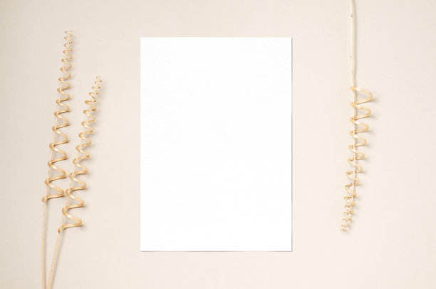 白色的邀请卡模型和一个装饰的树枝从干燥的藤蔓。米色背景。副本的空间。图片下载