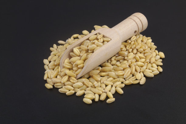 黑底木勺麦粒图片下载