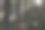 森林里的第一缕阳光图片下载