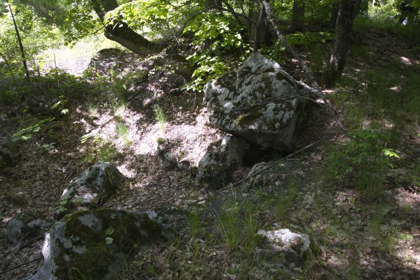 这张照片显示的是巨大的卵石，巨大的石头，在夏天的绿色森林。乌里扬诺夫斯克图片下载