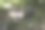 这张照片显示的是巨大的卵石，巨大的石头，在夏天的绿色森林。乌里扬诺夫斯克图片下载