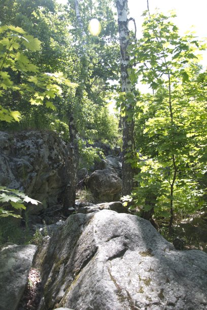 这张照片显示的是巨大的卵石，巨大的石头，在夏天的绿色森林。乌里扬诺夫斯克图片下载