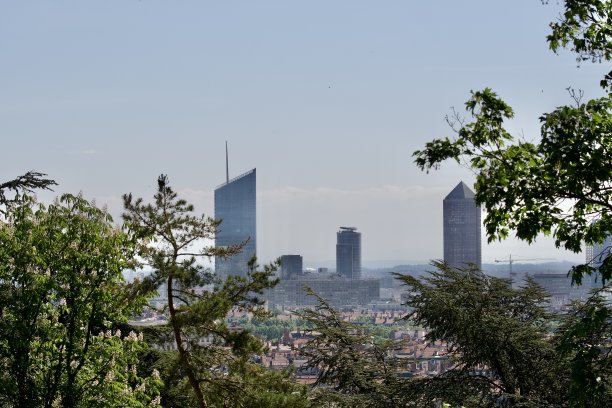 里昂CBD与树木图片下载