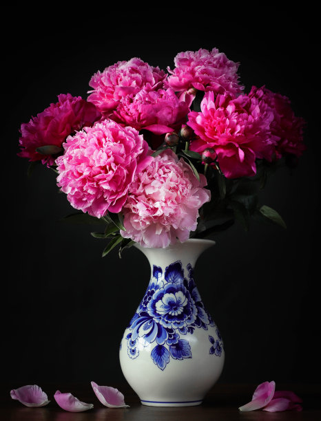 花卉代尔夫特陶器静物与牡丹玫瑰图片下载