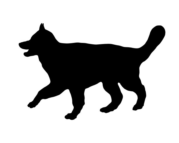 散步的长毛德国牧羊犬小狗。阿尔萨斯的狼狗。黑狗轮廓。宠物的动物。孤立在白色背景上。图片下载