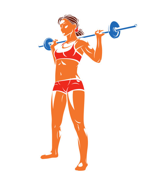 推动杠铃健身房和健康矢量插图的一个年轻迷人的女人做锻炼与杠铃练习，完美的肌肉运动身体年轻成人女孩的运动训练。图片下载