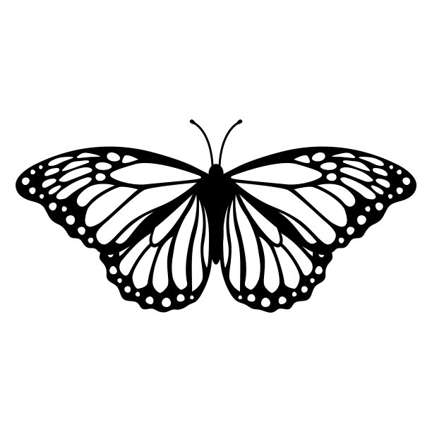君主蝴蝶剪影。矢量插图孤立在白色背景图片下载