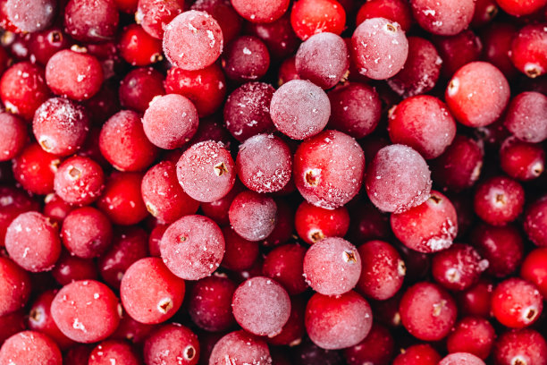 酸果蔓的果实。冰冻的蔓越莓背景图片下载