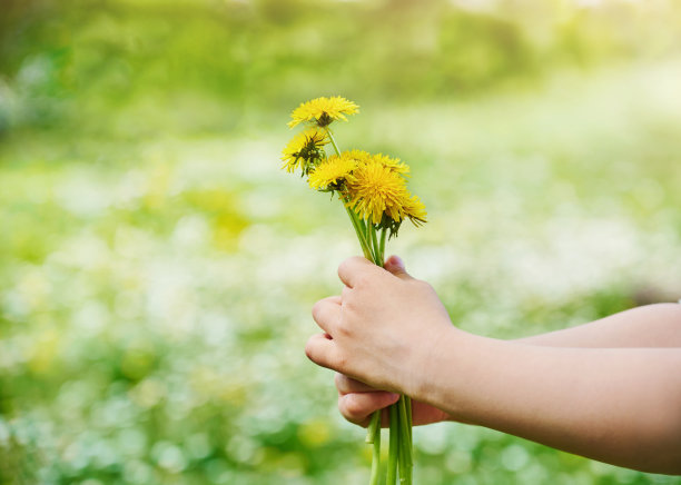 两个孩子手里拿着一朵黄色的蒲公英，背景是盛开着野花的模糊草地。关注花。图片下载