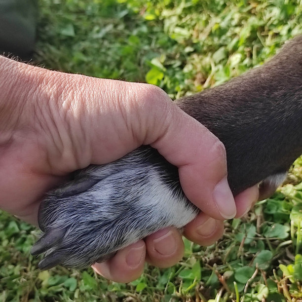 手的手图片下载