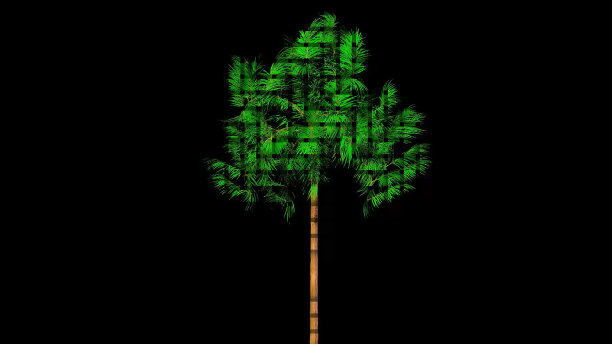 女王棕榈树网格艺术植物学3D渲染图片下载