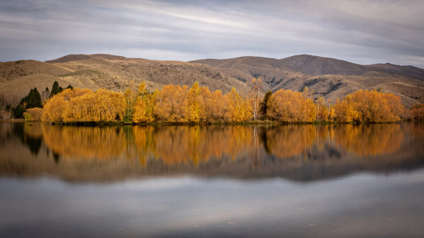 秋分节气照片素材ID：419338224