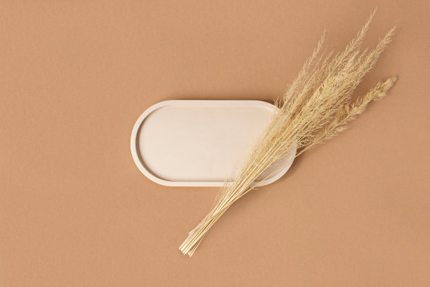 产品展示平台。抽象最小几何形式的米色背景。椭圆形的石头。现场,展示,显示。最小的设计。时尚的软阴影。平铺，俯视图。图片下载